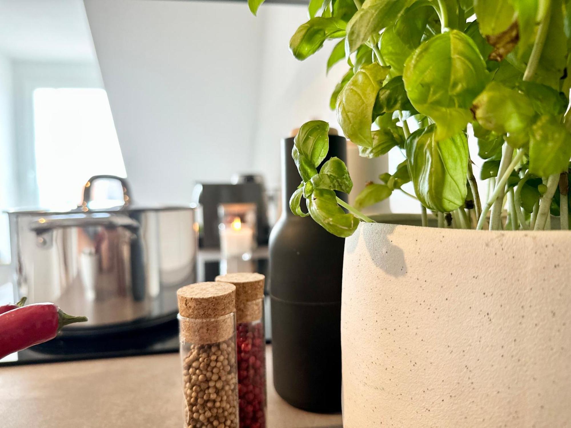 Mystay - Zentral - Design - Prime - Kueche Χαϊδελβέργη Εξωτερικό φωτογραφία